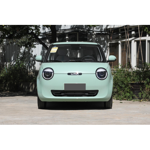 2023 Changan Lumins 301 km 2WD Vendita calda Mini auto per nuove auto elettriche cinesi adulti in stock Changan Lumins 2022 Versione